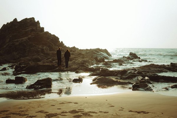Comment organiser une croisière pour découvrir les fjords de Nouvelle-Zélande?